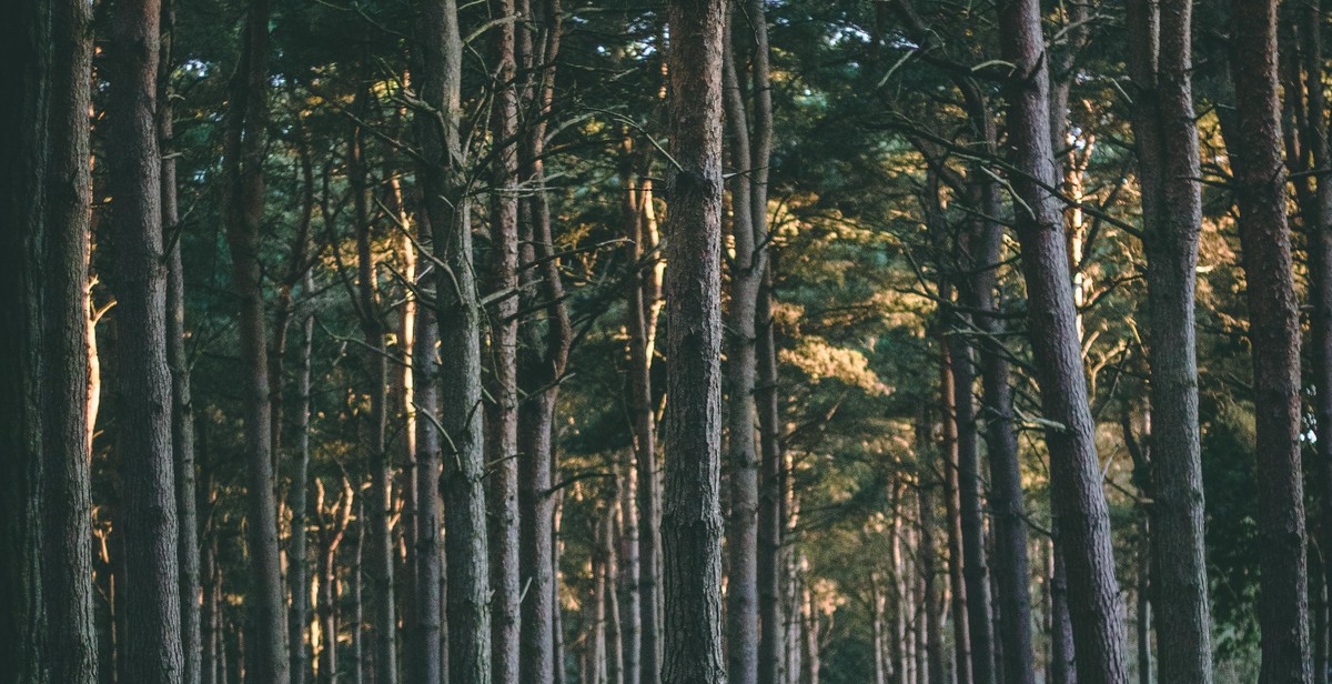 autumn national park landscape