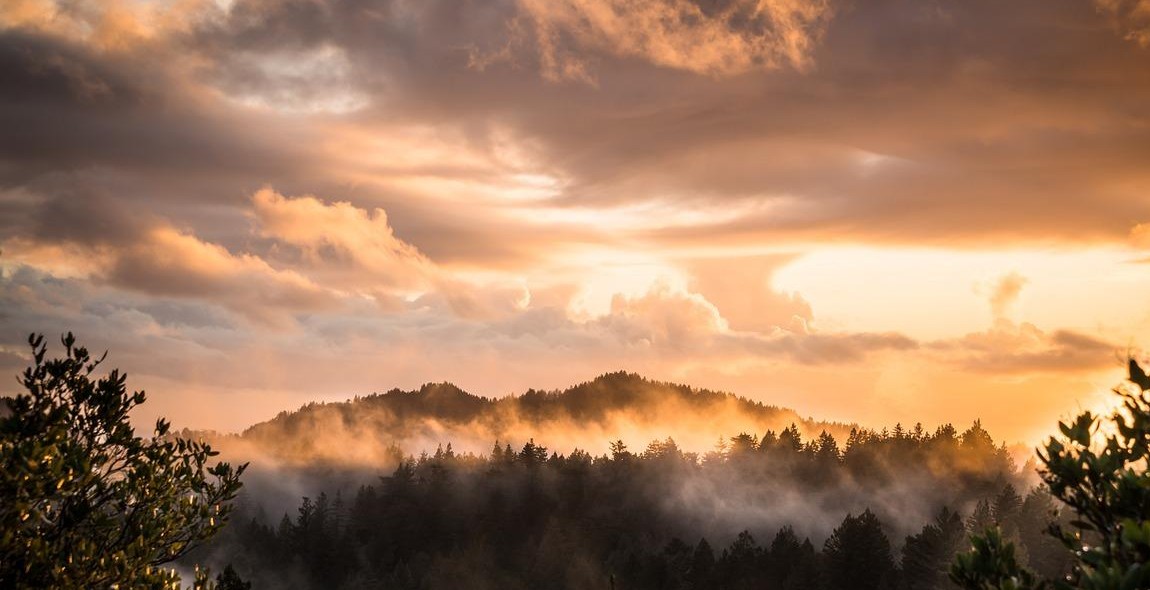 golden hour nature photography